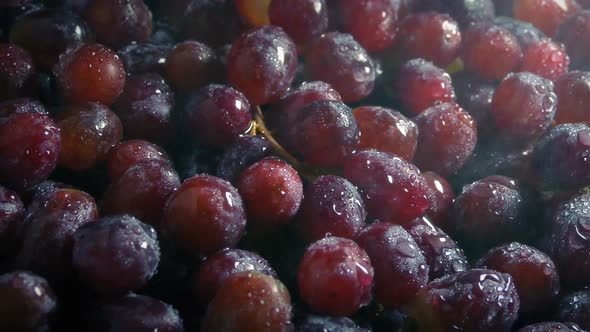 Juicy Grapes Getting Sprayed With Fine Mist