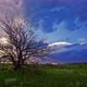 summer landscape - sunset foliage sunlight - VideoHive Item for Sale