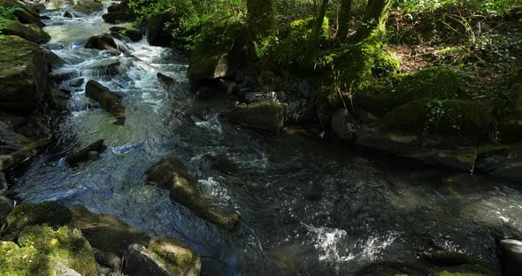 Gorge of Daoulas, Cotes d Armor department, Brittany in France