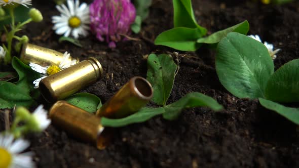 Bullet casings from a 5mm pistol fall to the ground and chamomile flowers. Slow motion.