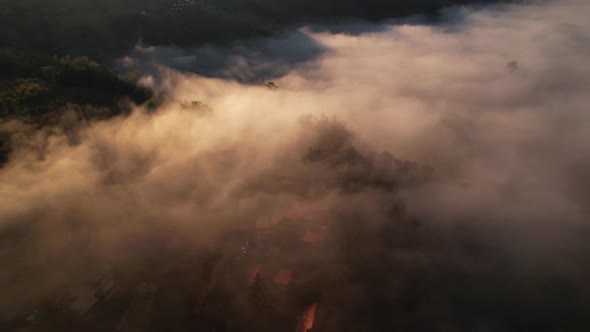 4K Aerial view of the misty sunrise in the forest