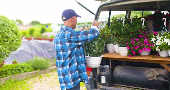 Gardener Loading Flower Pots In Van Trunk