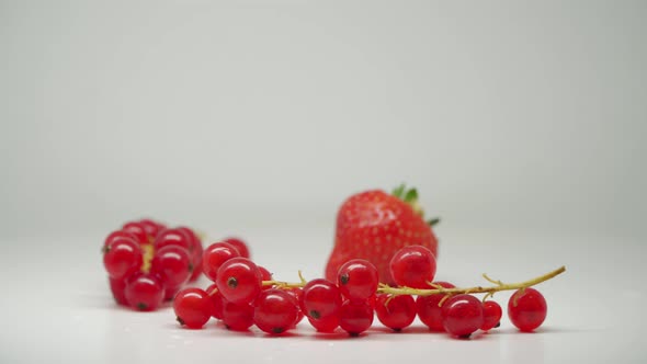 Ripe Red Currants On Its Stalk And A Delicious Strawberry - Close Up Shot