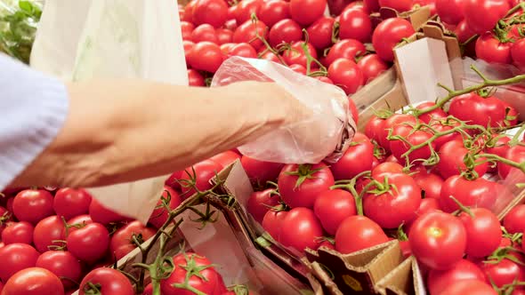 Picking tomatoes at grocery store.Healthy food vegetables at supermarket. Hand choosing tomato in th