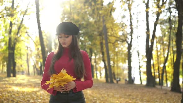 Fashion Lady Stands with Maple Leaves and Looks Around in Sunny Autumn Park