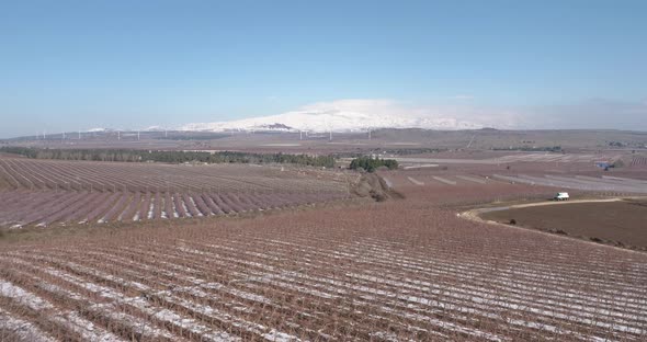 Aerial view of a dry vineyard in the snow, Golan Heights, Israel.