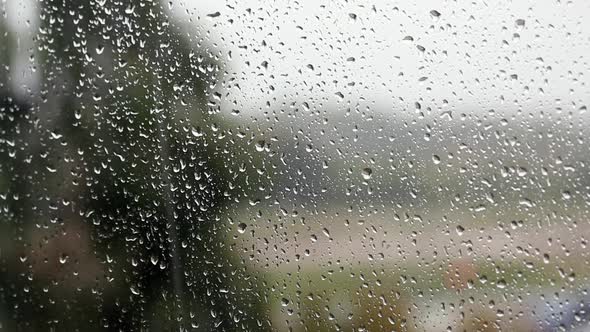 Window Glass In Drops Of Rain. Drops Run Down The Glass.