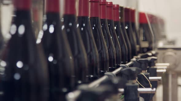 Red Wine bottles on a conveyor belt in a wine bottling factory.