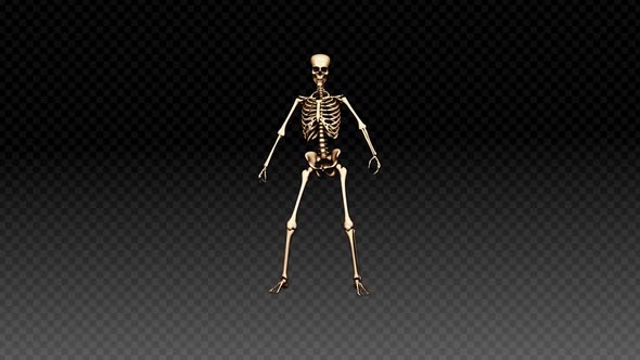 Skeleton Show Dance Upbeat alt