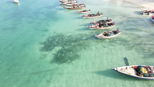 Coastal Landscape of Zanzibar Tanzania  Boats Near the Shore