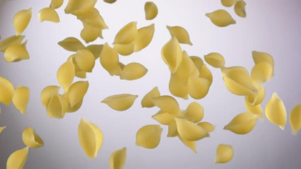 Dry Pasta Conchiglie Rigate Flying Up on a White Background