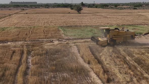 Cinematic shot harvester driving on a field, plowing crops.
