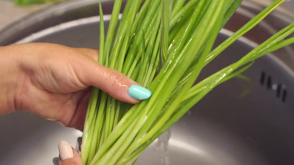 Closeup of Women's Hands Washing Fresh Green Onions in the Kitchen Sink