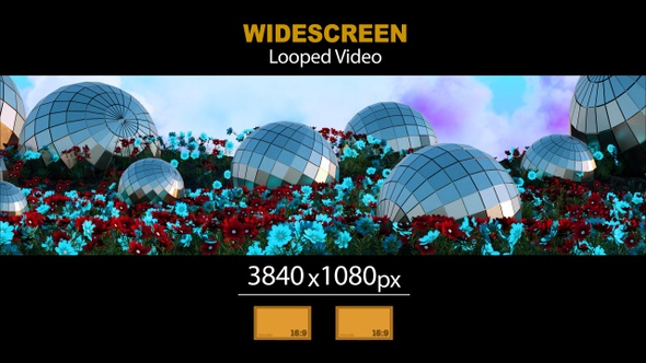 Widescreen Mirror Balls In Flowers 01 alt