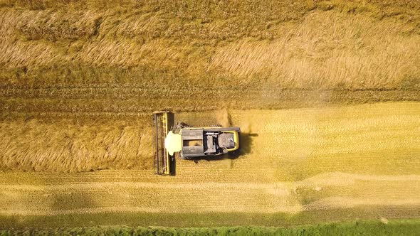 Aerial view of combine harvester harvesting large ripe wheat field. Agriculture from drone view.