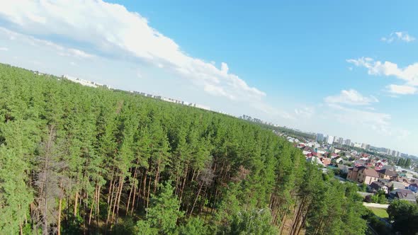 Flight Over the Forest Near the City