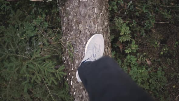 Handheld view down on a persons shoes, while walking on a fallen tree log, in a finnish forest, on a