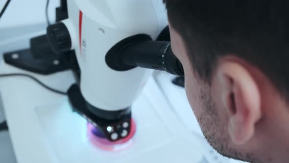 Young Scientist Looking Through a Microscope in a Laboratory