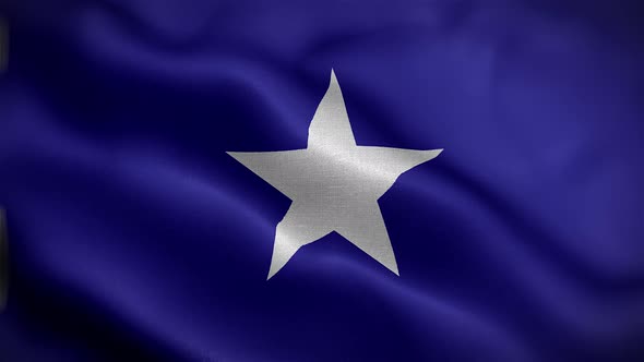 California Lone Star Flag Front