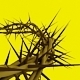 Crown of thorns  - 3DOcean Item for Sale