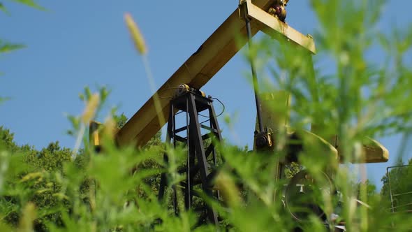 The Work of an Oil Pump Against the Background of Tall Grass