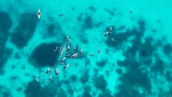 A large group of snorkelers drifting across the tropical coloured waters of the Great Barrier Reef A
