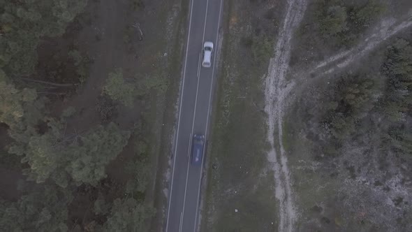 Road in Woods