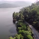 road on the side lake jungle - VideoHive Item for Sale