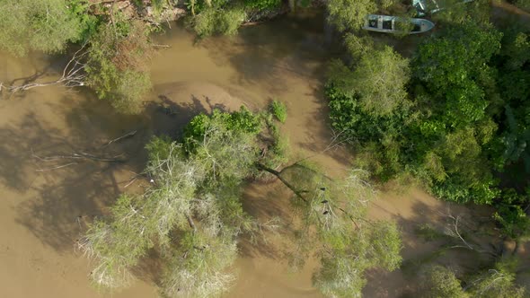 Tropical Trees With Sand Dune On The Secluded Resort Town Of Yelapa In Jalisco, Mexico. Aerial Tilt-