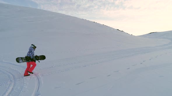 Summit Walking Snowboard