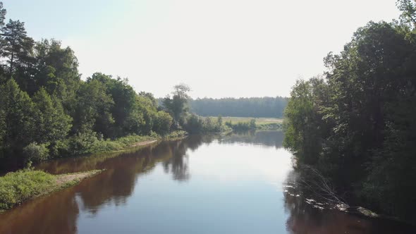 Landscape of Nature - the River Between the Coniferous Forest