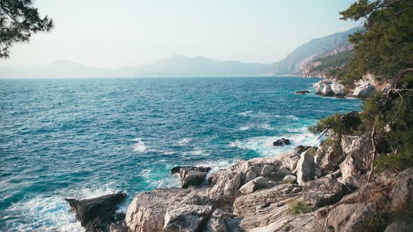 View of the Wavy Clear Blue Sea and Rocky Seaside with Pine Trees.