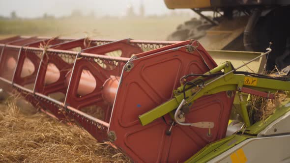 Rotary Straw Walker Combine Harvester Cuts and Threshes Ripe Wheat Grain