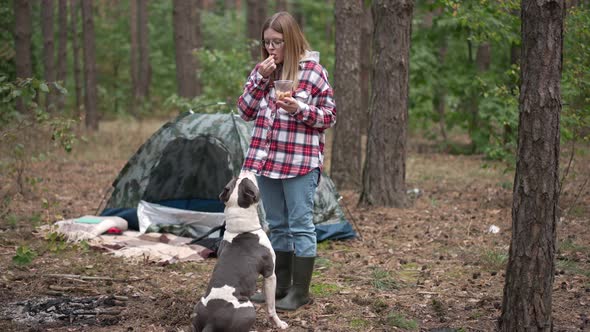 Wide Shot Joyful Woman Eating Snack Standing in Forest Sharing Food with Curios Dog
