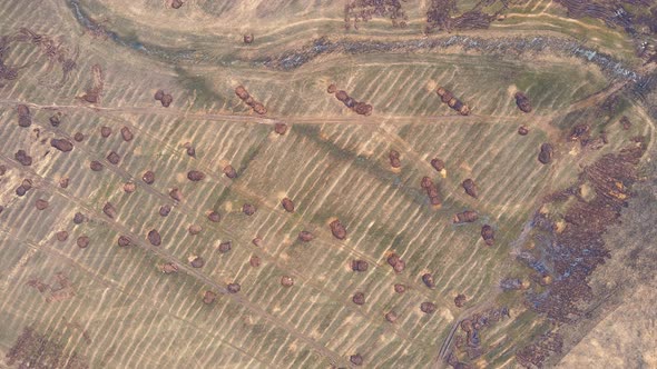 Manure Heaps on a Farmer's Green Field Lie Flat Bird'seye View