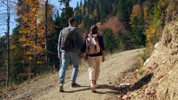 Pair of Tourists are Exploring Natural Reserve at Autumn Day Rising on Trail Into Mount Rear View