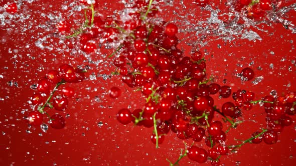 Super Slow Motion Shot of Red Currants and Water Side Collision on Red Background at 1000Fps