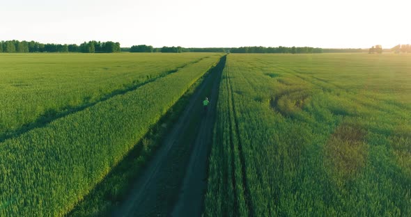 Aerial View on Young Boy, That Rides a Bicycle Thru a Wheat Grass Field on the Old Rural Road