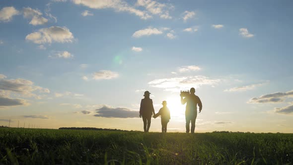 Family Farmers Are Walking Along the Field at Sunset, Carrying Box with Fresh Vegetables and Tools