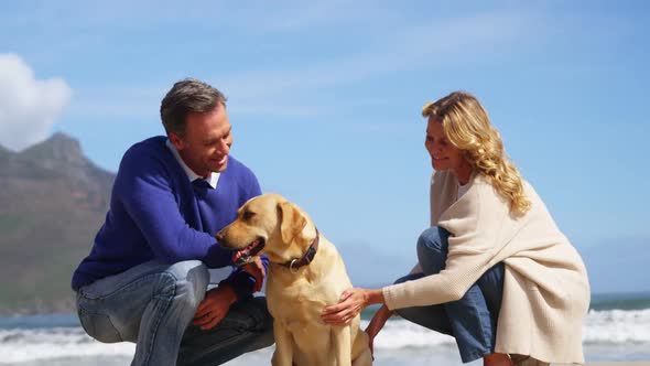 Happy mature couple petting their dog on the beach