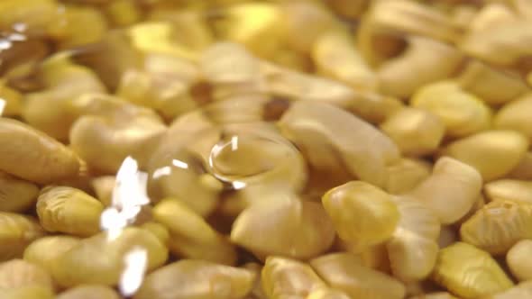 Cooking Peruvian Canary beans. Soaking in a glass bowl. Falling into a water in slow motion. Macro