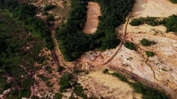 Aerial view land after trees is chopped down