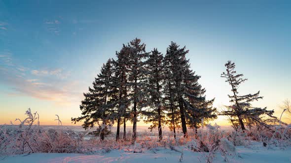 Wonderful Color Change in the Sky on Sunset in the Frozen Snowy Forest