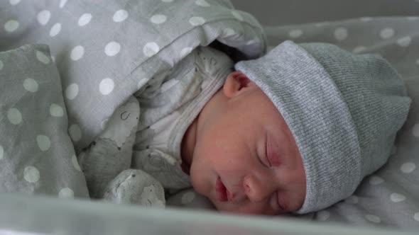 Newborn Baby Red Cute Face Portrait Early Days Sleeping In Medical Glass Bed On Grey Background