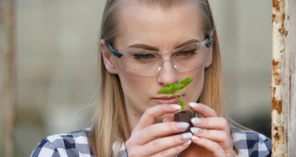 Close Up of Scientist or Researcher Looking at Young Plant and Examining Plant alt