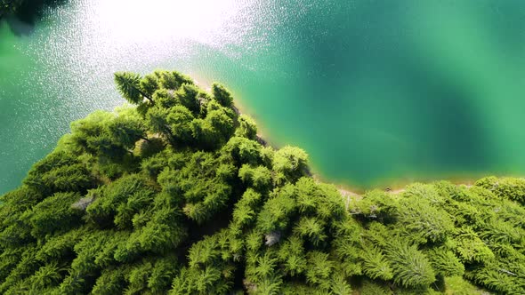 Aerial view of a forest lake. Top view of blue lake and green forests on a sunny summer day. 