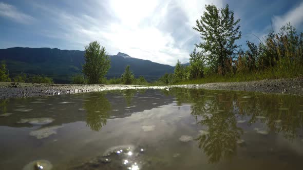 Rear view of fit woman jogging through puddle 4k