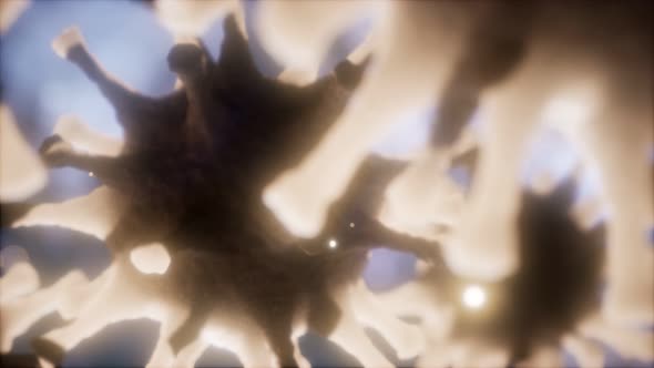 Coronavirus nCoV Respiratory Virus Concept alt