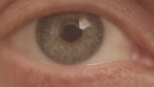 Grey eye of man looking at camera. Eye iris opening pupil. Healthy eyesight concept