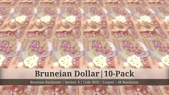 Bruneian Dollar | Brunei Currency - 10 Pack | 4K Resolution | Looped